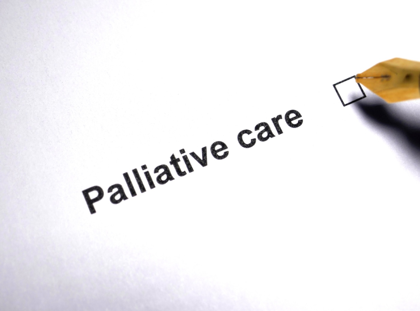 difference between palliative care and hospice​ 